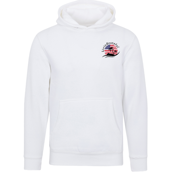 'Merica Boyz-n-the Hoodie - USA Pullover - Patriotic Style