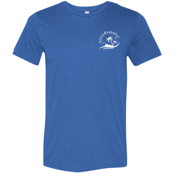 Mens LG T-Shirt - Motivational Tee - Everyday Positive Shirt