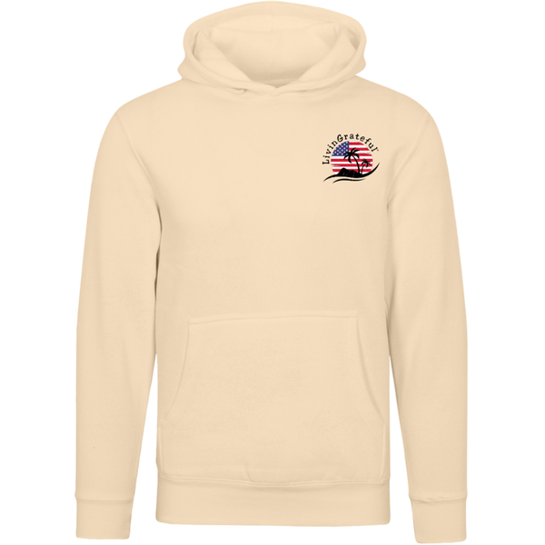 'Merica Boyz-n-the Hoodie - USA Pullover - Patriotic Style