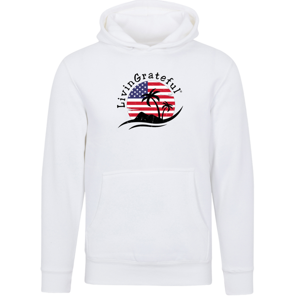 'Merica Boyz-n-the Hoodie - Patriotic Hoodie - Streetwear