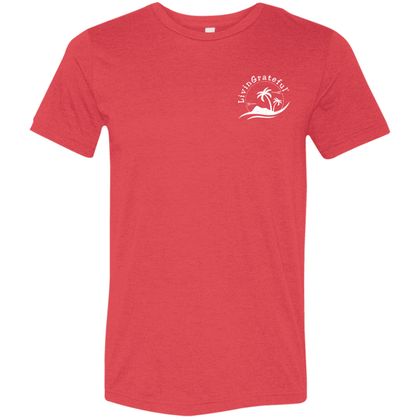 Mens LG T-Shirt - Motivational Tee - Everyday Positive Shirt