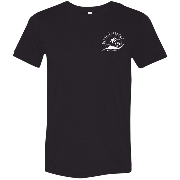 Mens LG T-Shirt - Motivational Tee - Everyday Positive Shirt