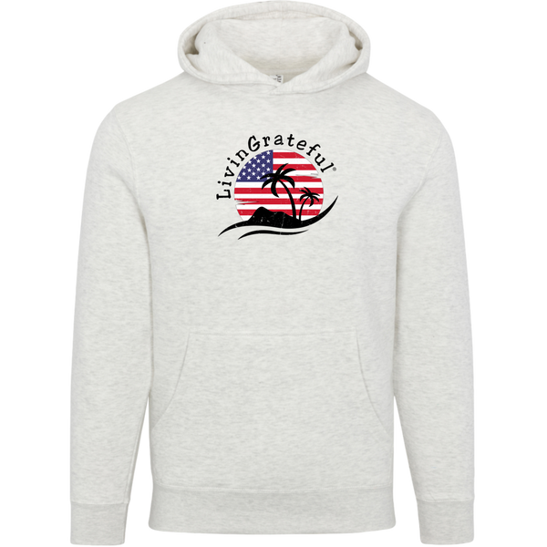 'Merica Boyz-n-the Hoodie - Patriotic Hoodie - Streetwear