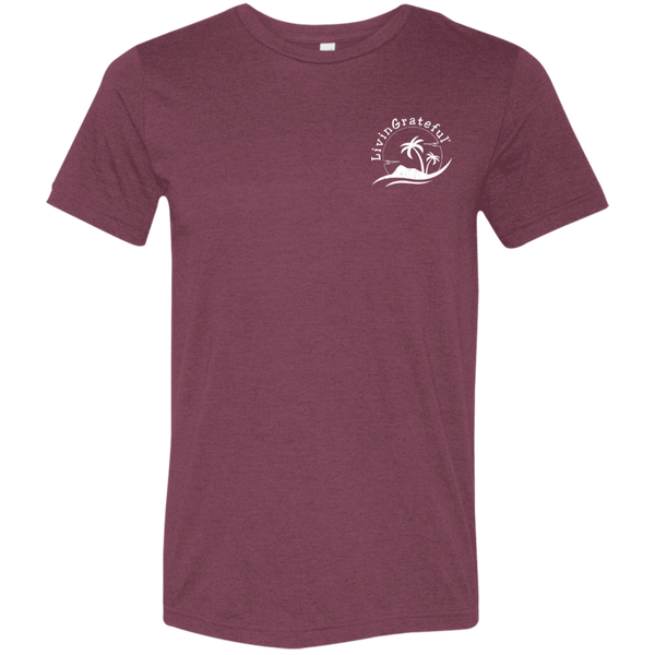 Mens LG T-Shirt - Motivational Tee - Everyday Positive Shirt